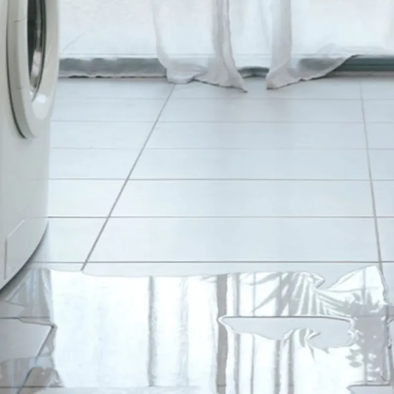 Appliance Leak Cleanup in New Athens, IL