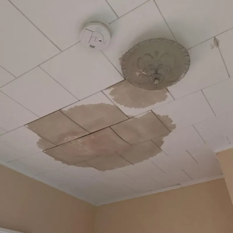 Ceiling Water Damage Repair in New Athens, IL