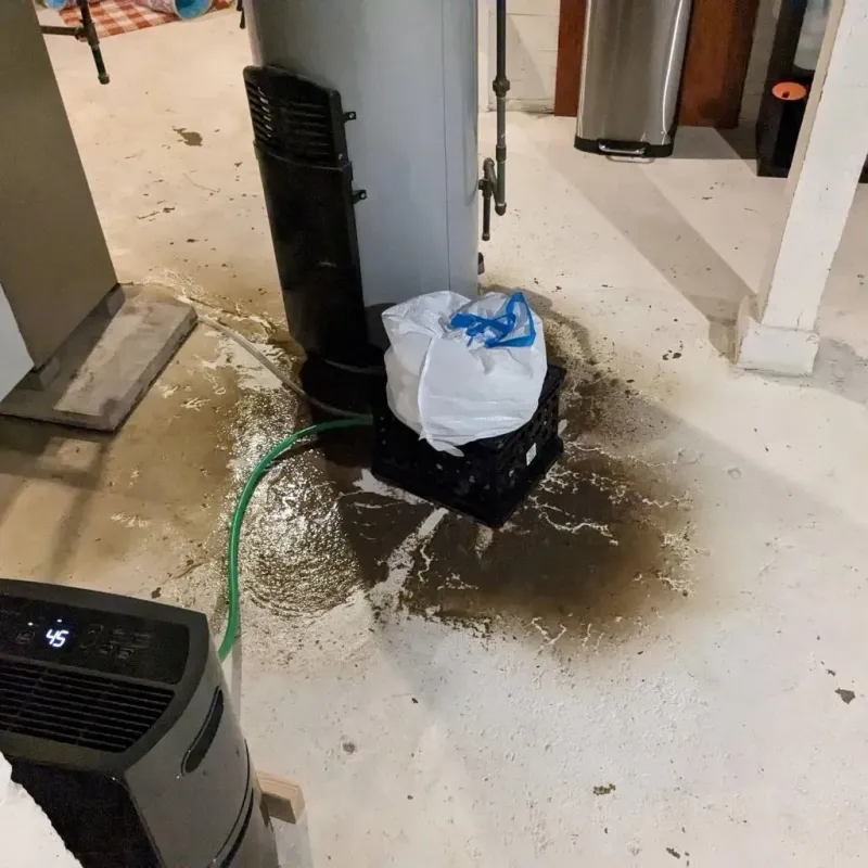 Sewage Backup Cleanup Service in New Athens, IL